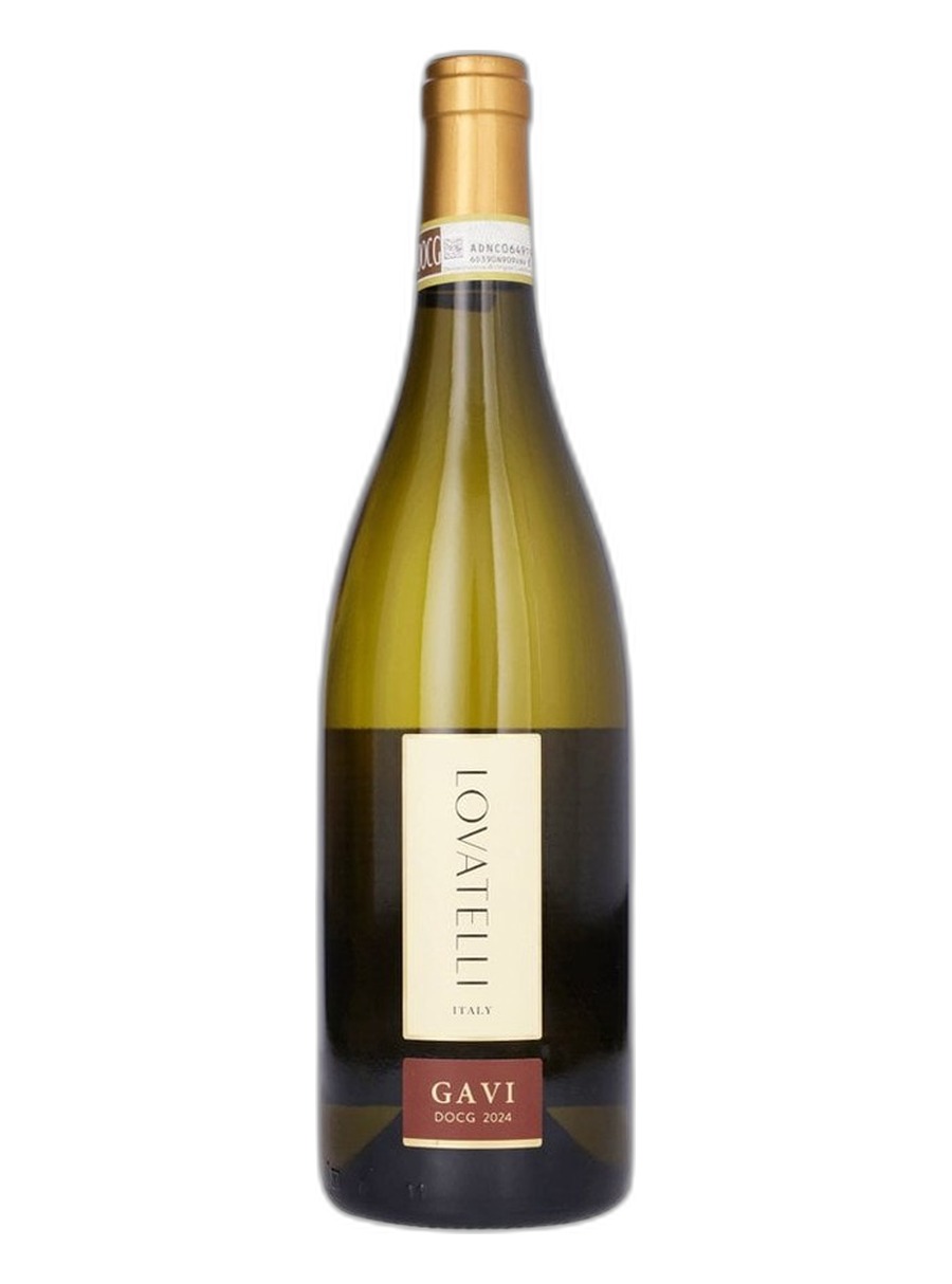 Gavi 24